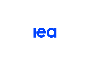 International energy agency IEA